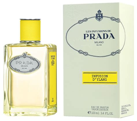 prada ylang